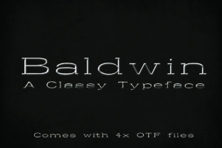 Baldwin: A Classic Slab Serif Font for Modern Branding Projects