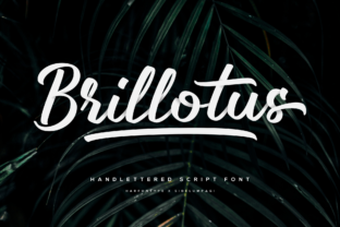 Brillotus: A Stunning Handwritten Font for Authentic Branding