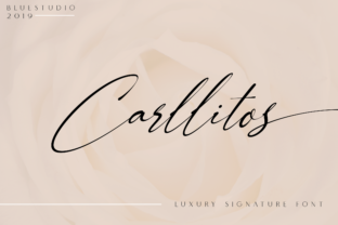 Carllitos: The Handwritten Font That Gave My Small Business a Polished Look