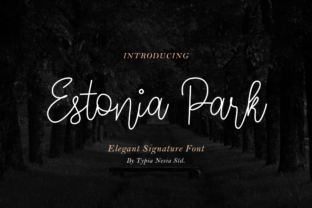 Estonia Park: A Handwritten Font for Elegant Editorial Design