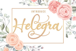 Helegra: A Summery Script Font for Creative Branding Projects