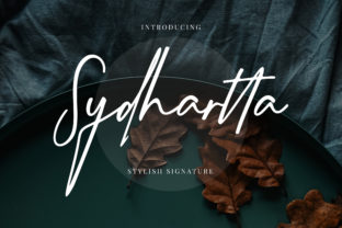 How Sydhartta Transformed My Small Business Branding