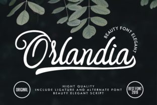 Orlandia: A Delicate Script Handwritten Font for Bold Editorial Design